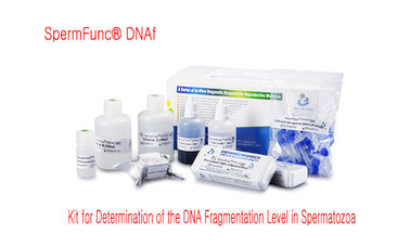 Determinación económica del nivel de la fragmentación de la DNA de Kit For de la prueba de la fragmentación de la DNA de la esperma--método de la dispersión de la cromatina de la esperma