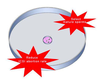 El plato de la selección de la esperma del ácido hialurónico para ICSI IVF reduce tarifa de la pérdida del embarazo