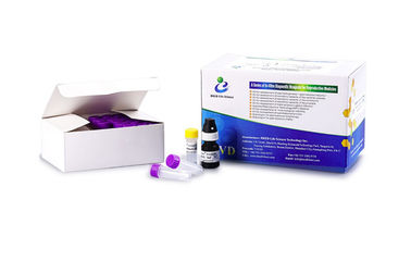 Kit de prueba de fertilidad para hombres, kit de prueba de leucocitos de semen, tinción de peroxidasa