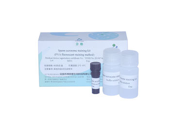 Kits de citometría de flujo de esperma Kit de tinción de acrosoma de esperma para citometría de sonda PNA-FITC