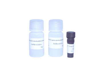 Kit de tinción de mitocondrias de esperma Kit de prueba de fertilidad masculina de alta precisión