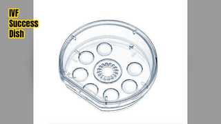 Plato de lapso de tiempo para el éxito de la FIV