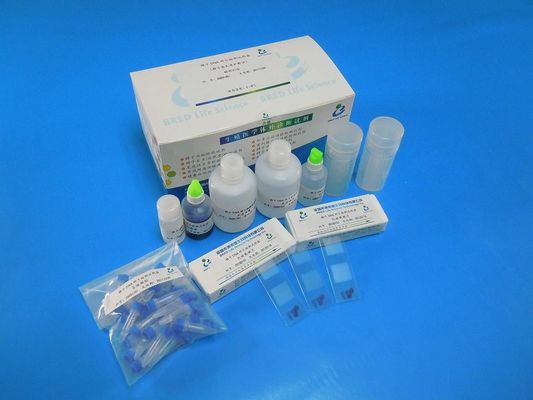 Kit de prueba de fragmentación del ADN de espermatozoides con tinción de Wright y método SCD para 40 pruebas/kit en laboratorios de andrología