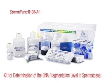 El equipo profesional 40T/Kit BRED-002 de la prueba de la fragmentación de la DNA de la esperma fácil actúa