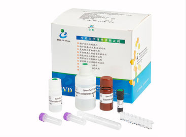 Acrosin Kit Male Infertility Test, fertilidad Kit For Men de Spermcheck