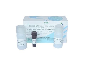 Kit de prueba de fertilidad masculina de muestra de esperma de tinción DCFH-DA Detección de peróxido de hidrógeno