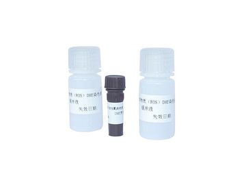 Kit de tinción DHE de especies de oxígeno reactivo de esperma para citometría de flujo ROS